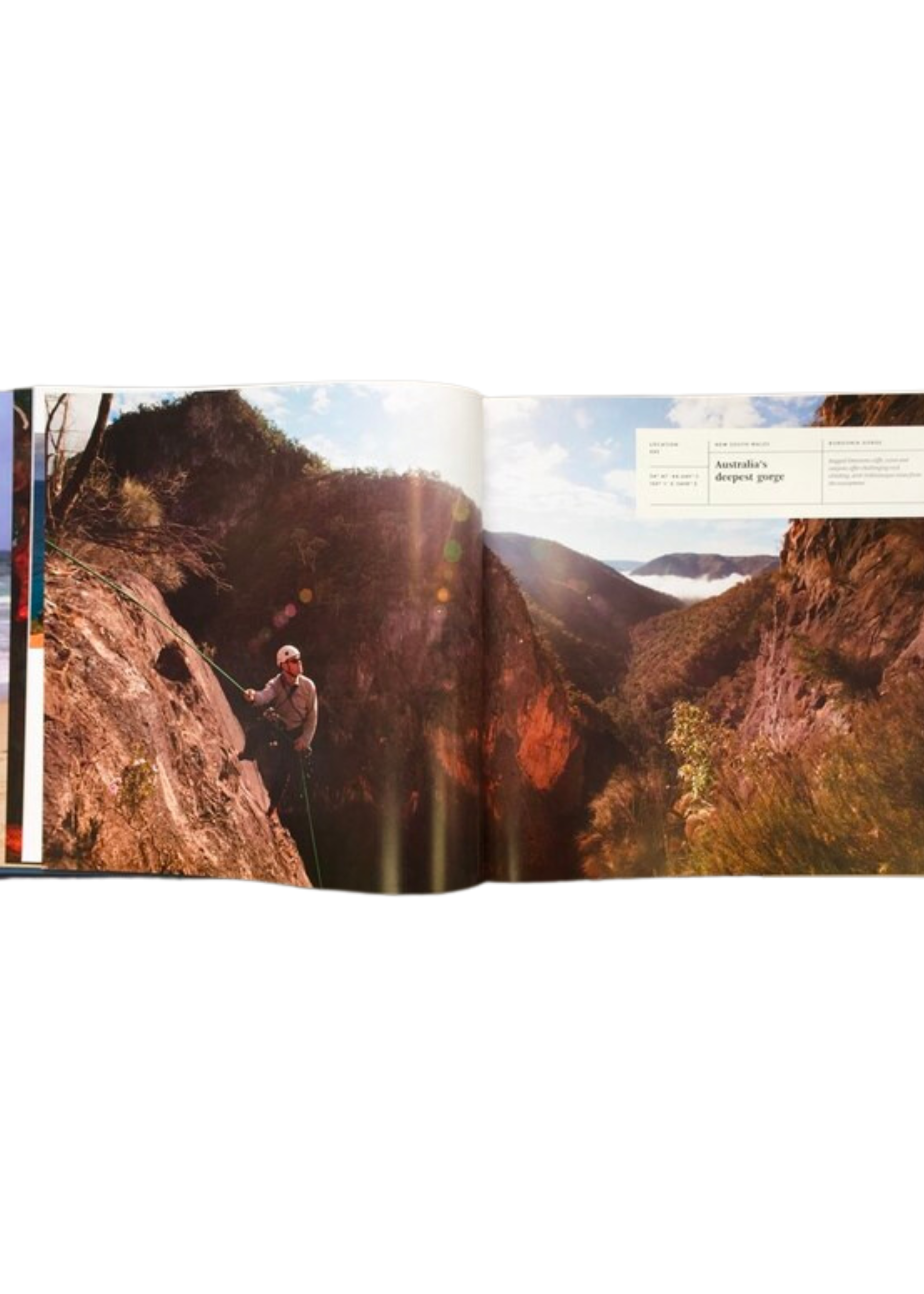 Wild Beauty Book