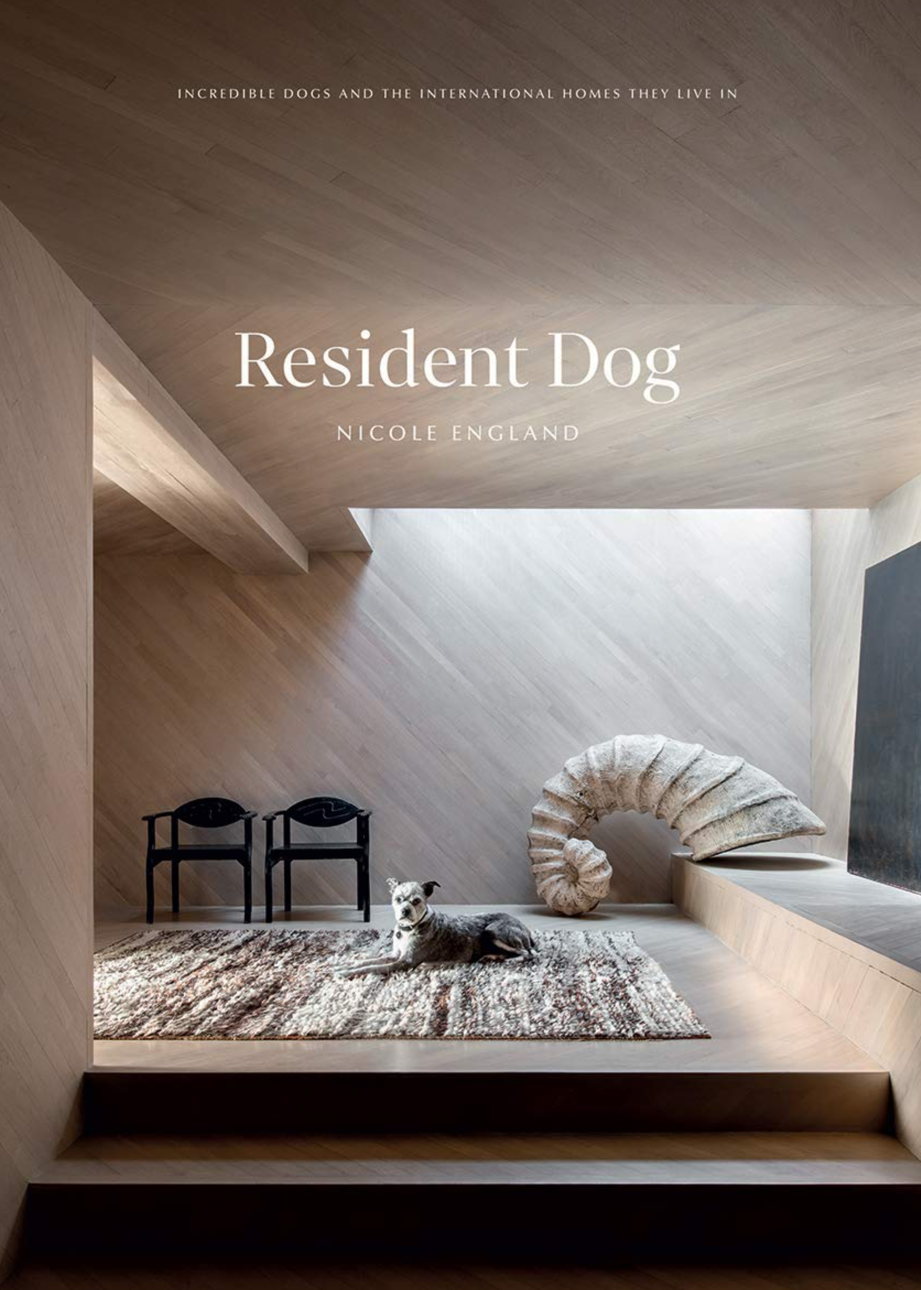Resident Dog